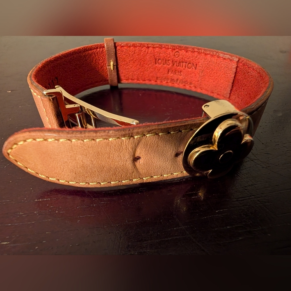 Gorgeous Louis Vuitton Paris Leather LV Good Luck Series - Picture 4 of 13